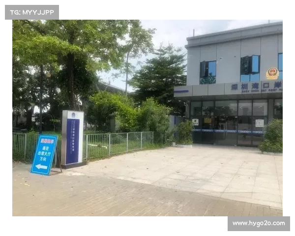 点击秒速过关最强攻略秘籍一览 点击秒速过关最强攻略秘籍一览